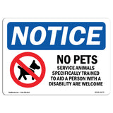 No Pets Allowed Service