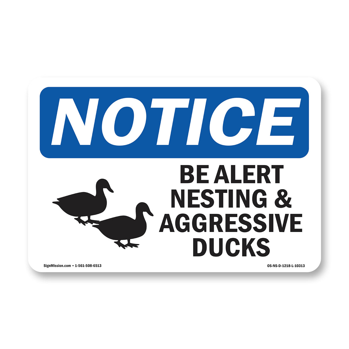 Be Alert Nesting And Aggressive Ducks