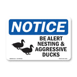 Be Alert Nesting And Aggressive Ducks