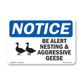 Be Alert Nesting And Aggressive Geese