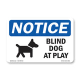 Blind Dog At Play