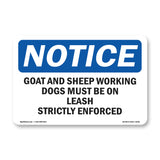 Goat & Sheep Working Dogs Must Be On Leash