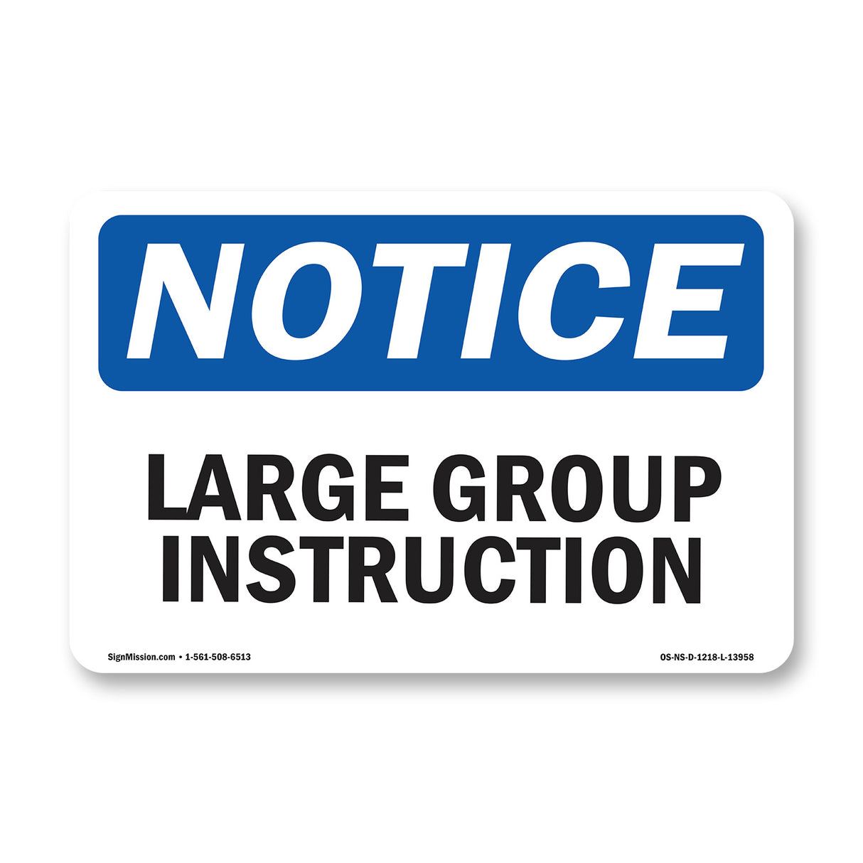 Large Group Instruction