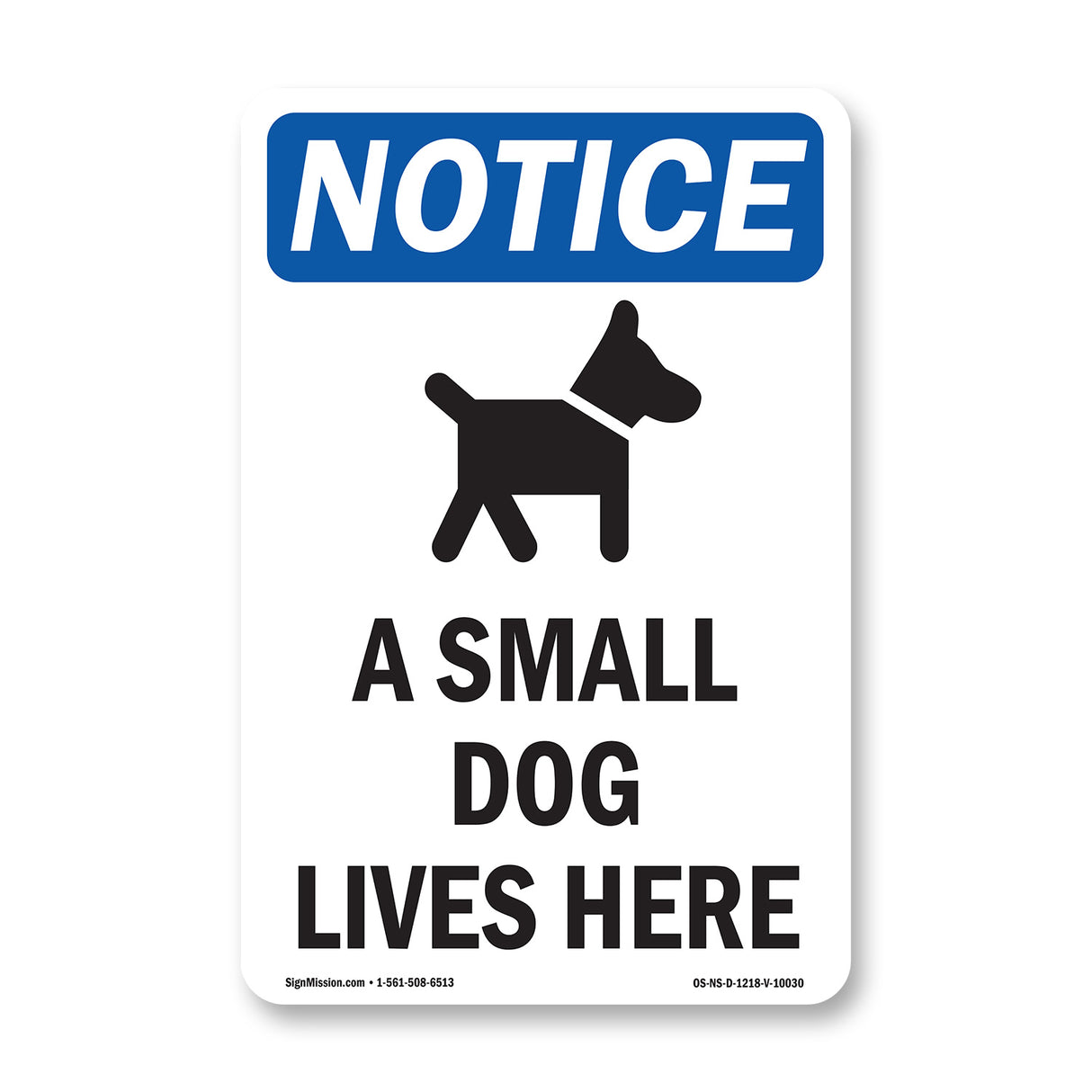 A Small Dog Lives Here