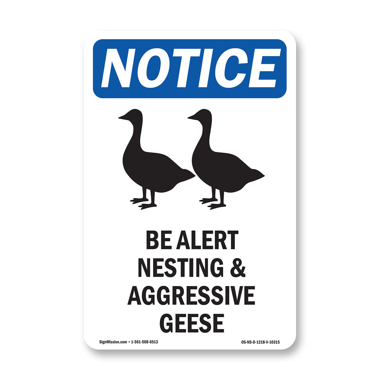 Be Alert Nesting And Aggressive Geese