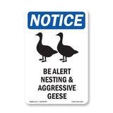Be Alert Nesting And Aggressive Geese