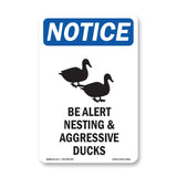 Be Alert Nesting And Aggressive Ducks