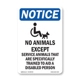 No Animals Except