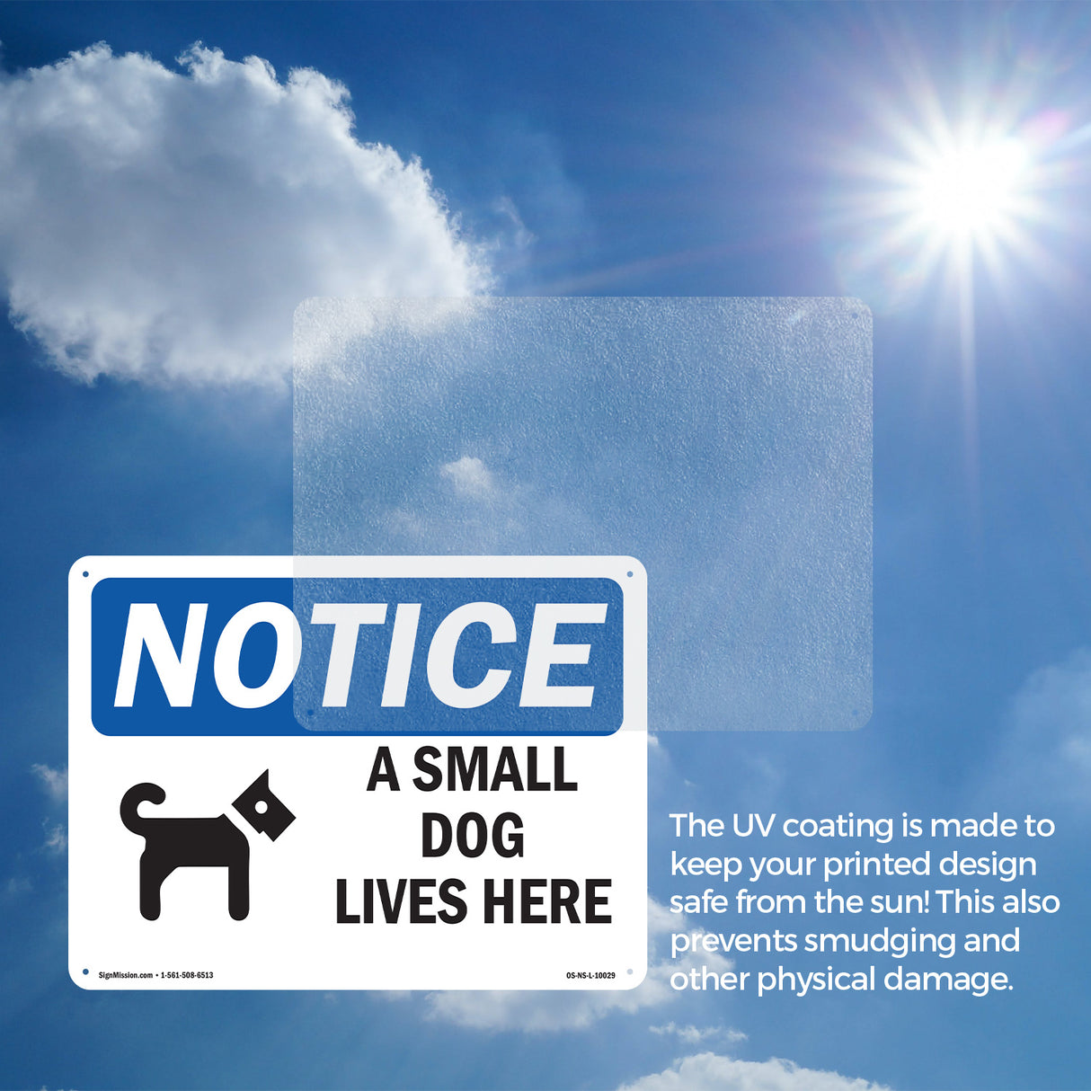 A Small Dog Lives Here