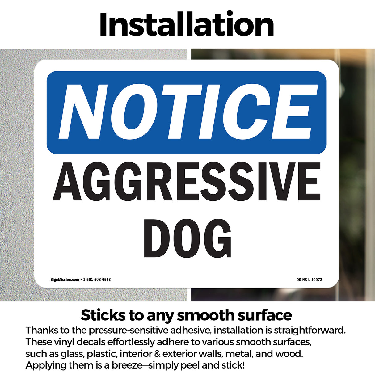 Aggressive Dog