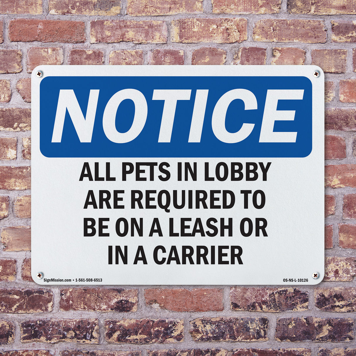 All Pets In Lobby Are Required