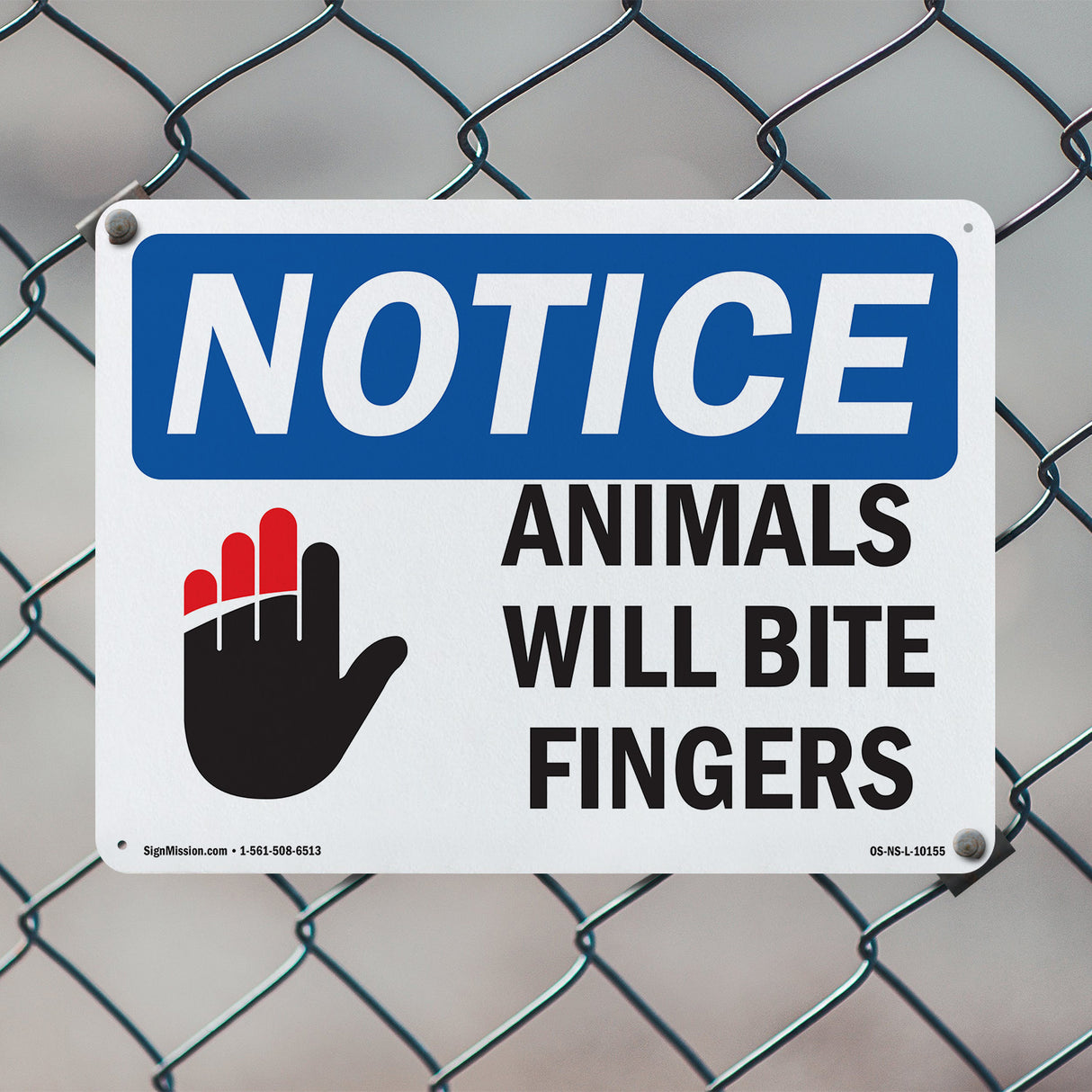 Animals Will Bite Fingers