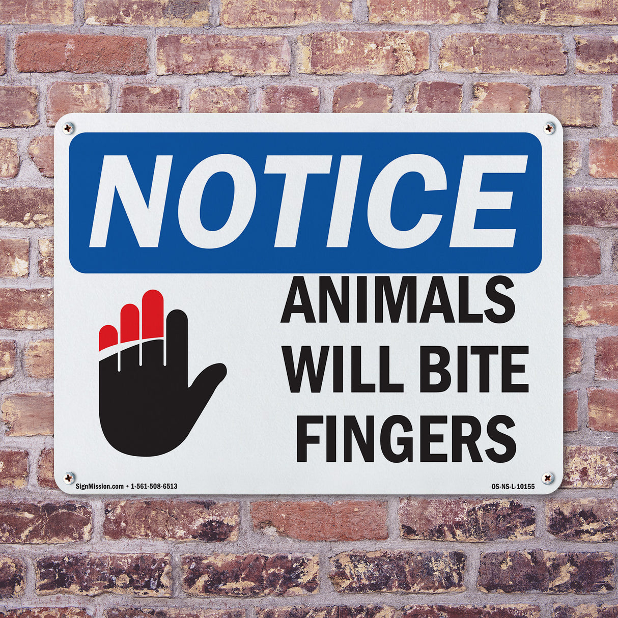 Animals Will Bite Fingers