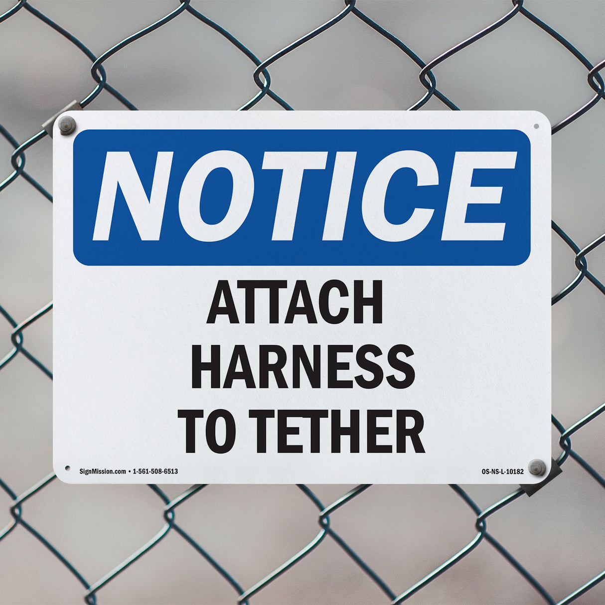 Attach Harness To Tether