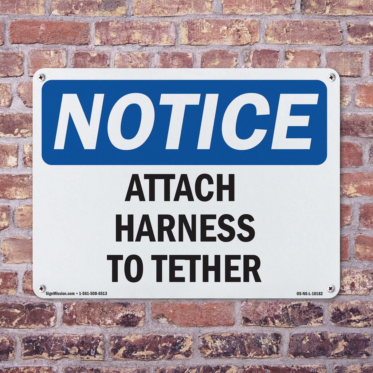 Attach Harness To Tether