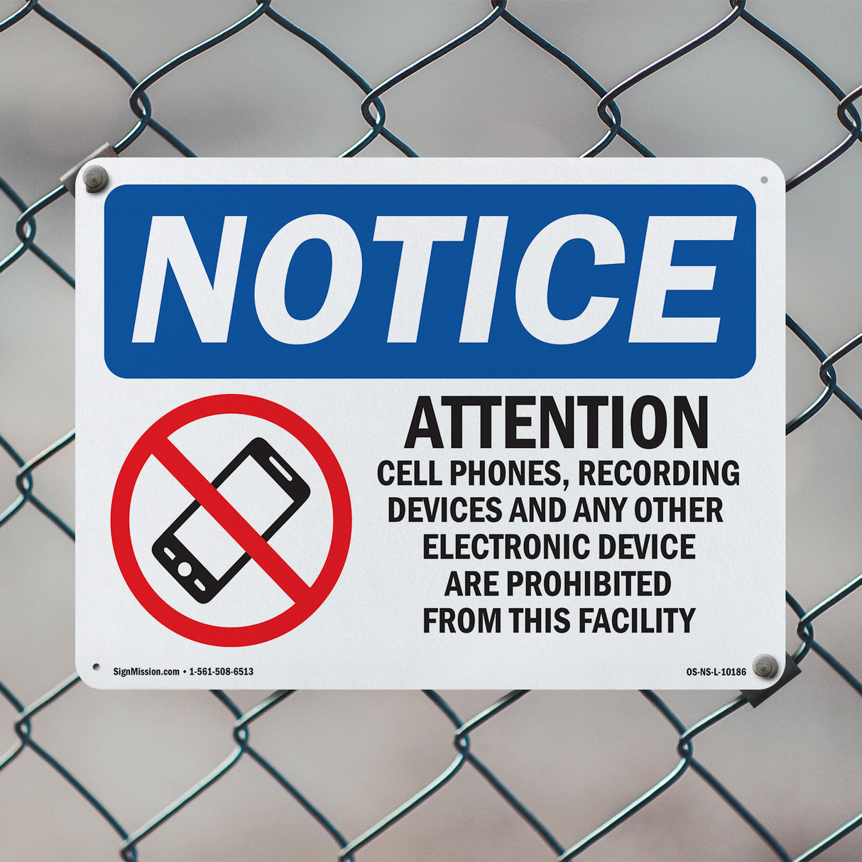 Attention Cell Phones, Recording