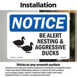 Be Alert Nesting And Aggressive Ducks