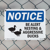 Be Alert Nesting And Aggressive Ducks