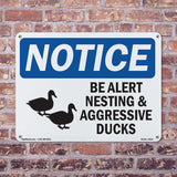 Be Alert Nesting And Aggressive Ducks