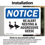 Be Alert Nesting And Aggressive Geese