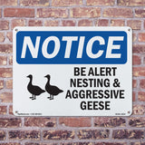 Be Alert Nesting And Aggressive Geese
