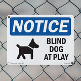 Blind Dog At Play