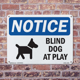 Blind Dog At Play