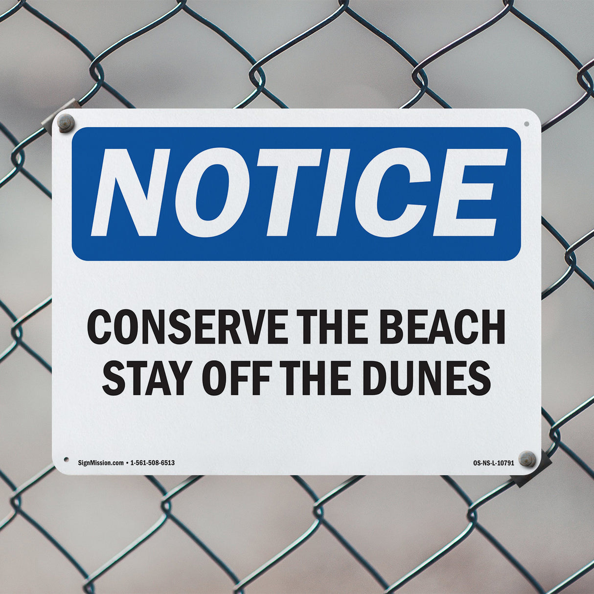 Conserve The Beach Stay Off The Dunes