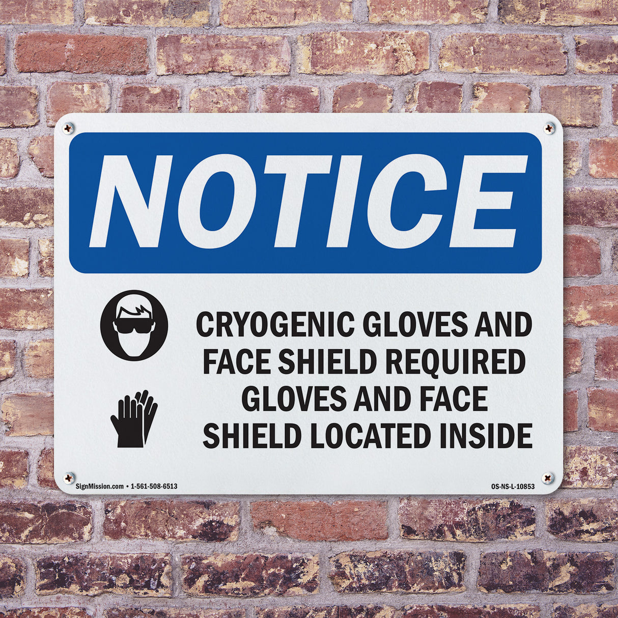 Cryogenic Gloves And Face Shield