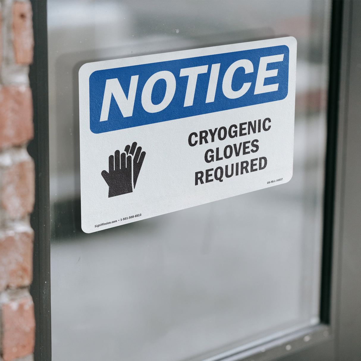 Cryogenic Gloves Required