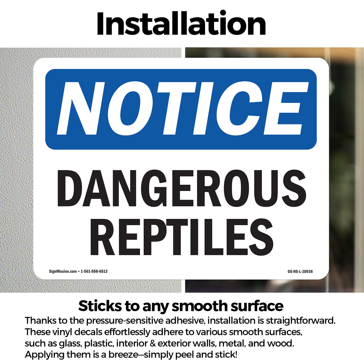 Dangerous Reptiles