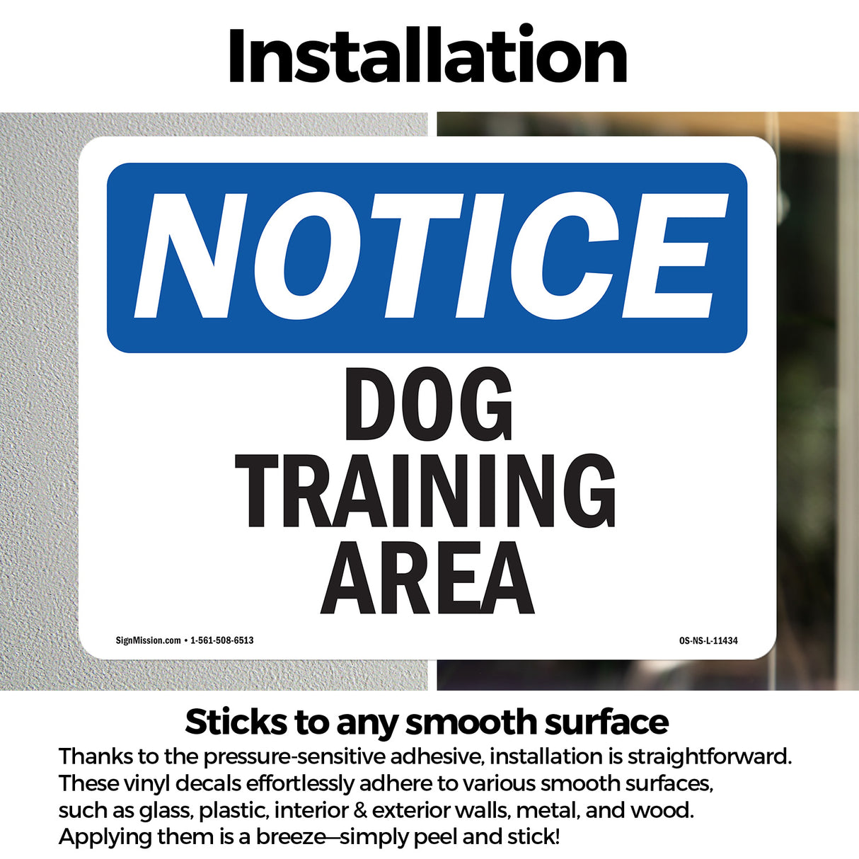 Dog Training Area