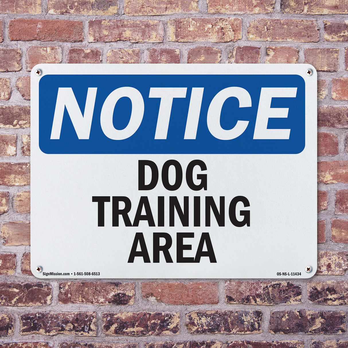 Dog Training Area