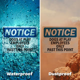 Dogs At Play Employees Only Past