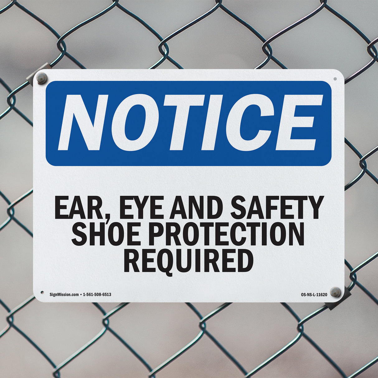 Ear, Eye And Safety Shoe Protection Required