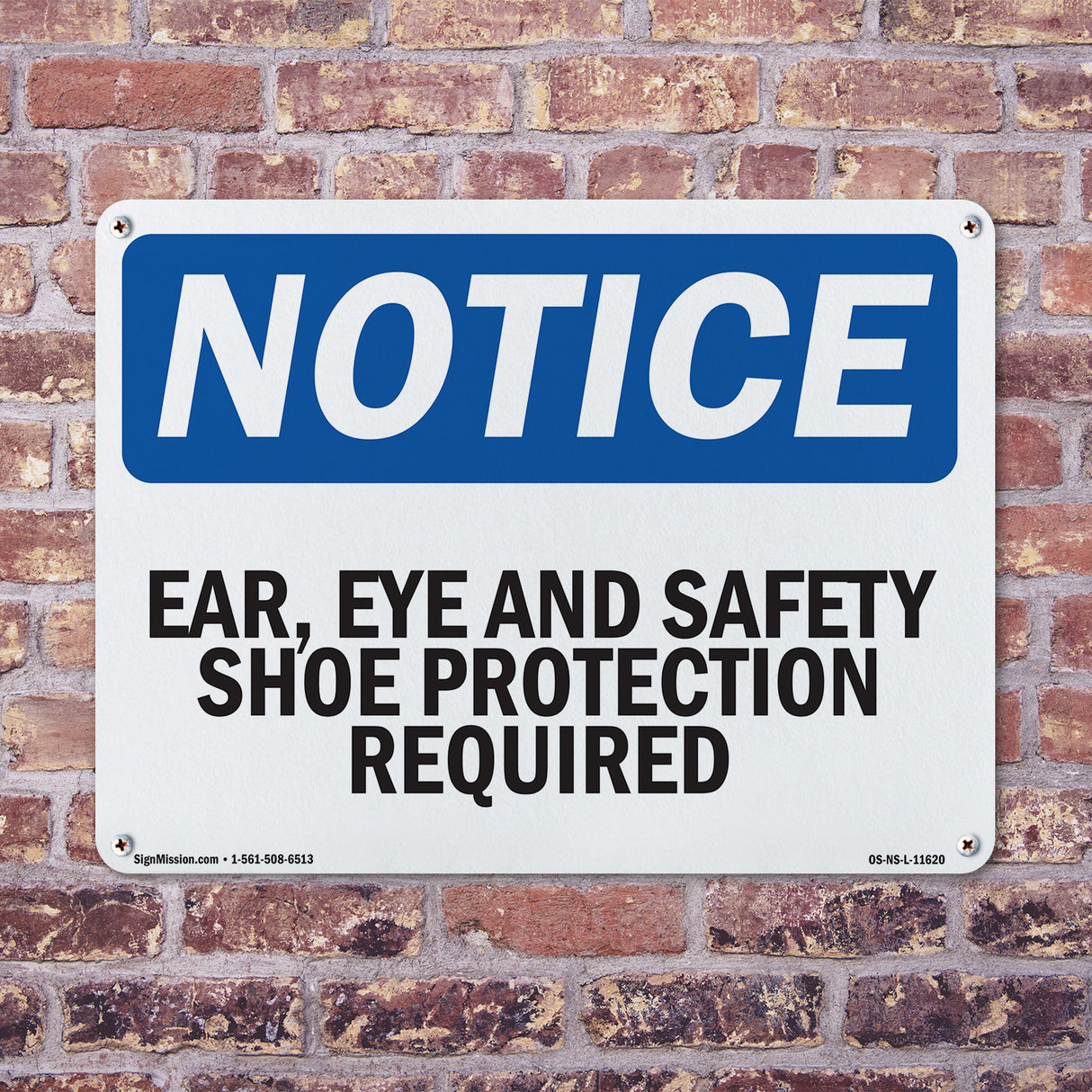 Ear, Eye And Safety Shoe Protection Required