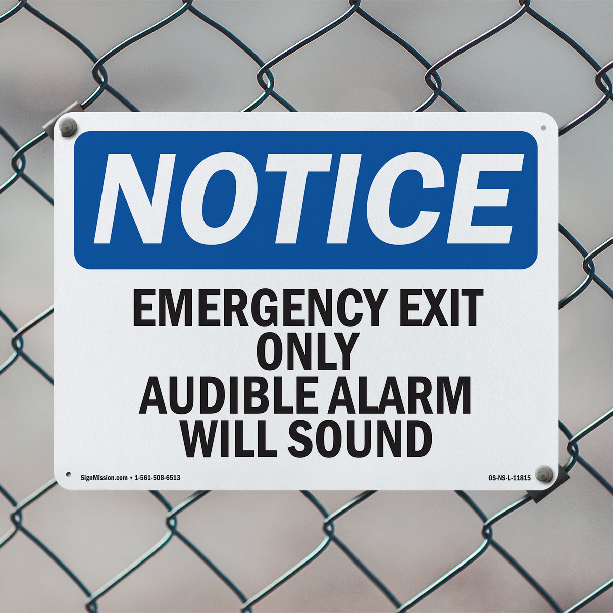 Emergency Exit Only Audible Alarm