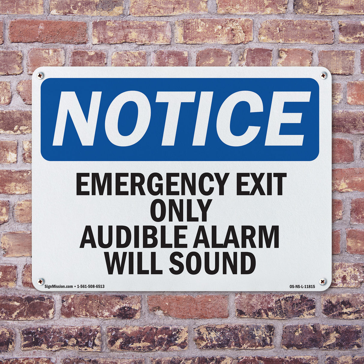 Emergency Exit Only Audible Alarm