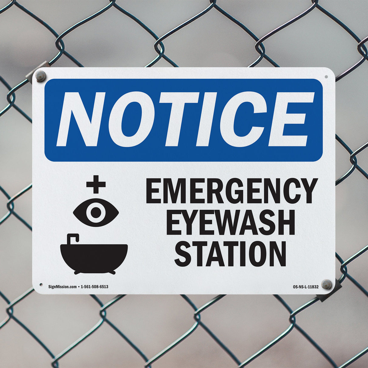 Emergency Eyewash Station