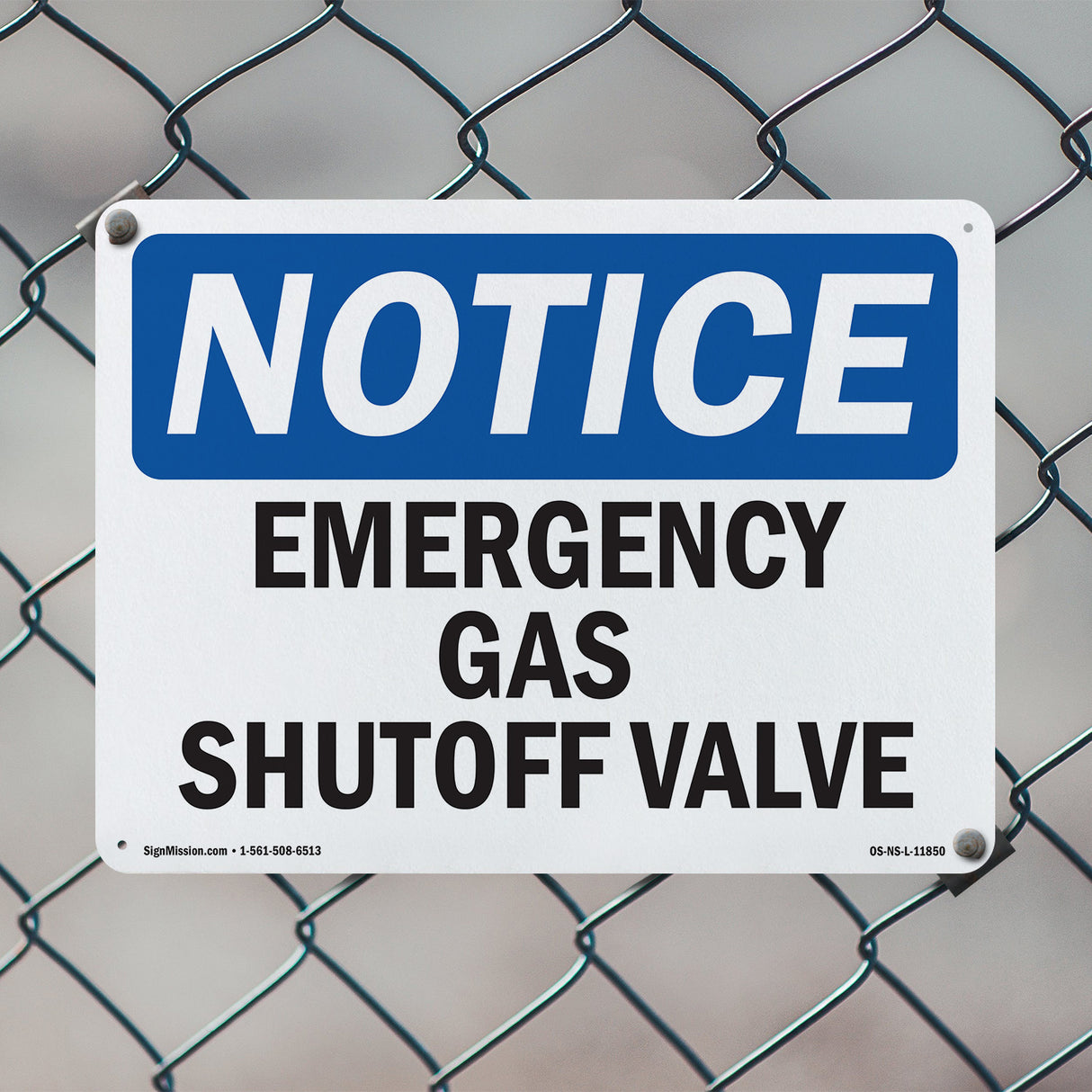 Emergency Gas Shutoff Valve
