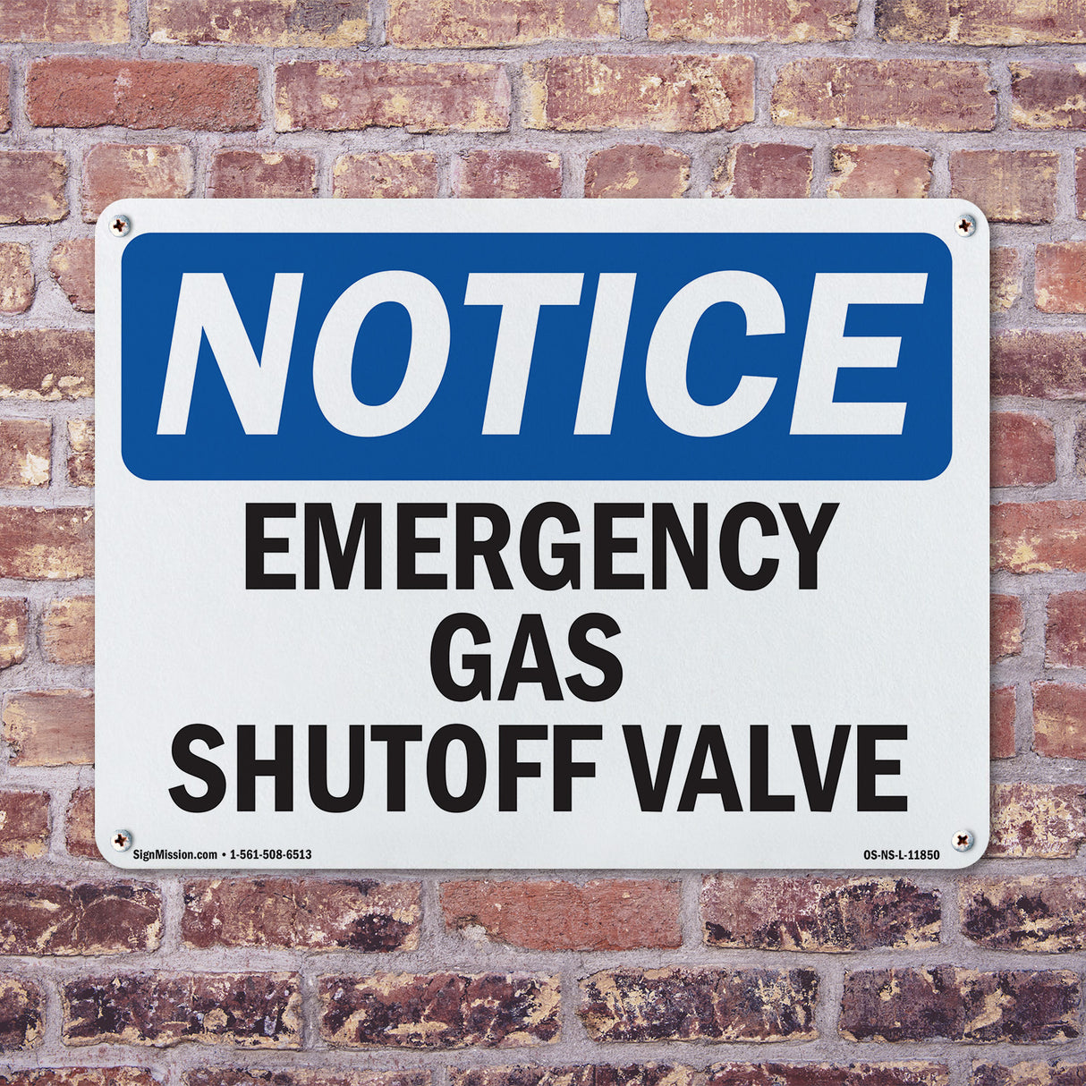 Emergency Gas Shutoff Valve