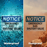 Emergency Gas Shutoff Valve