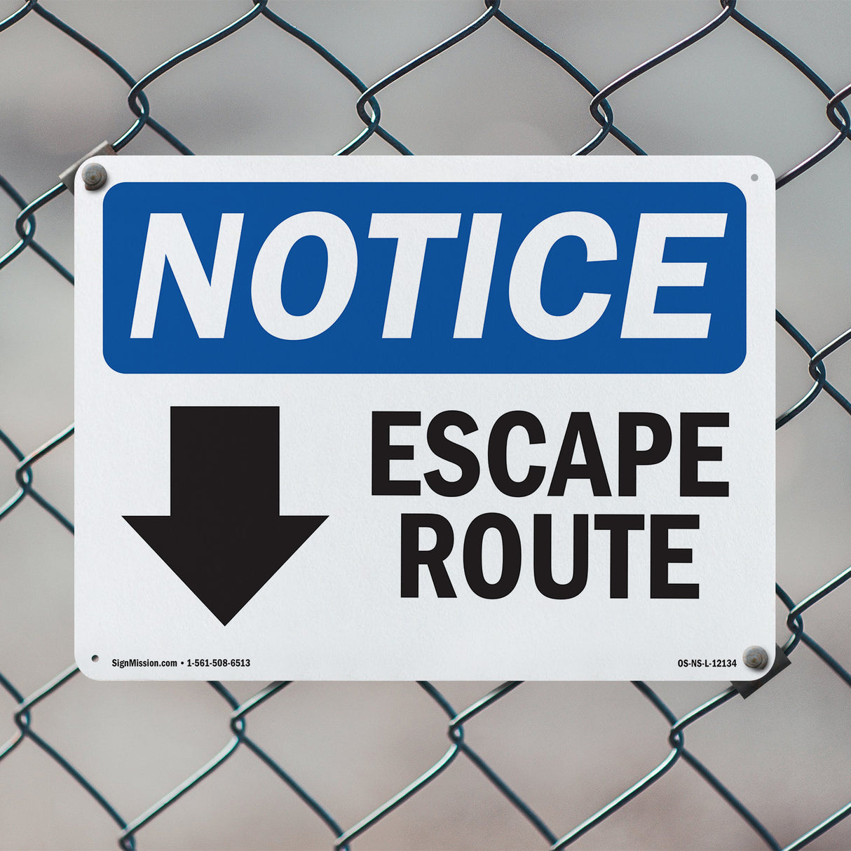 Escape Route [Down Arrow]