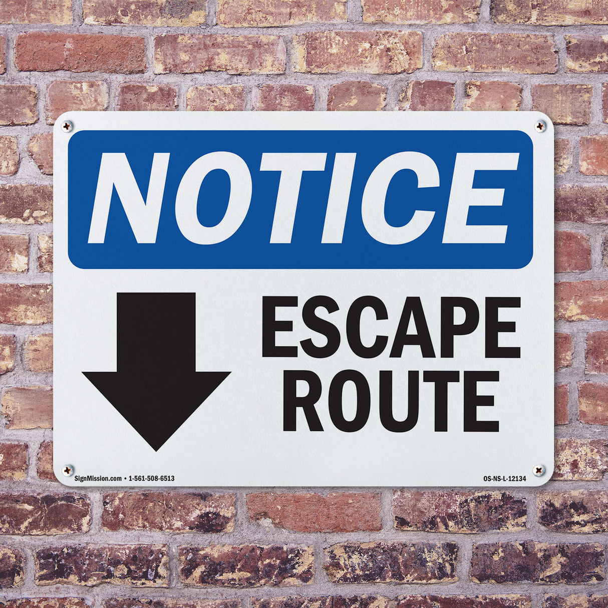 Escape Route [Down Arrow]