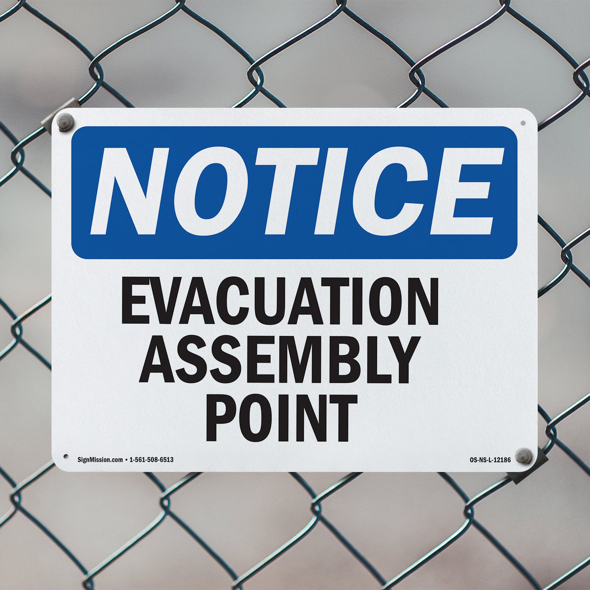Evacuation Assembly Point