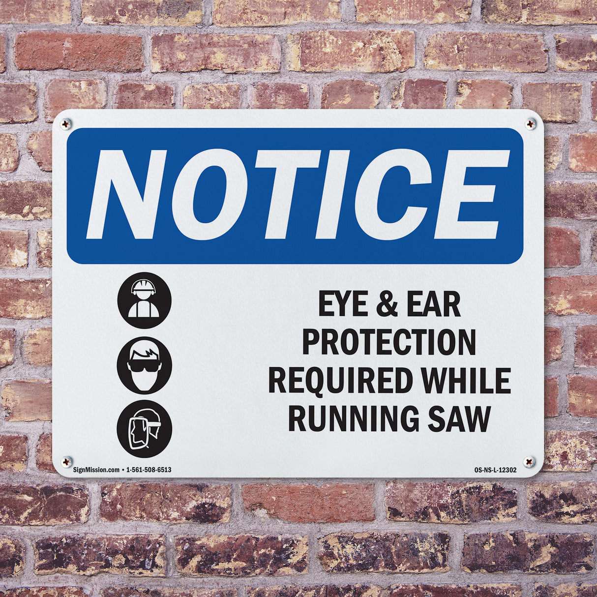 Eye And Ear Protection Required