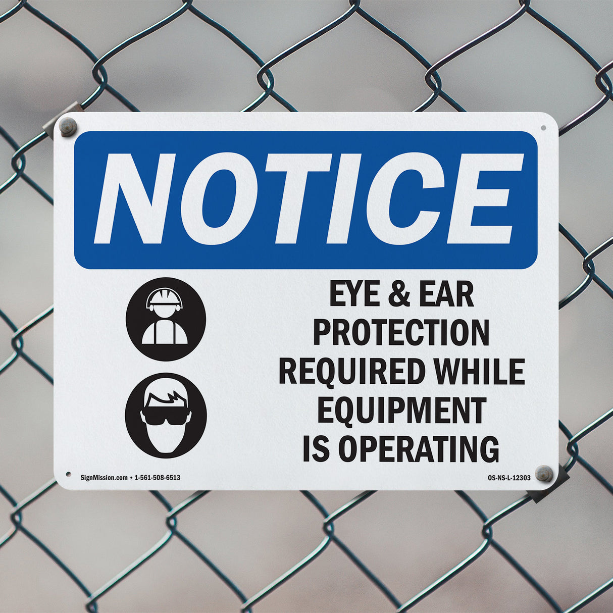 Eye And Ear Protection Required