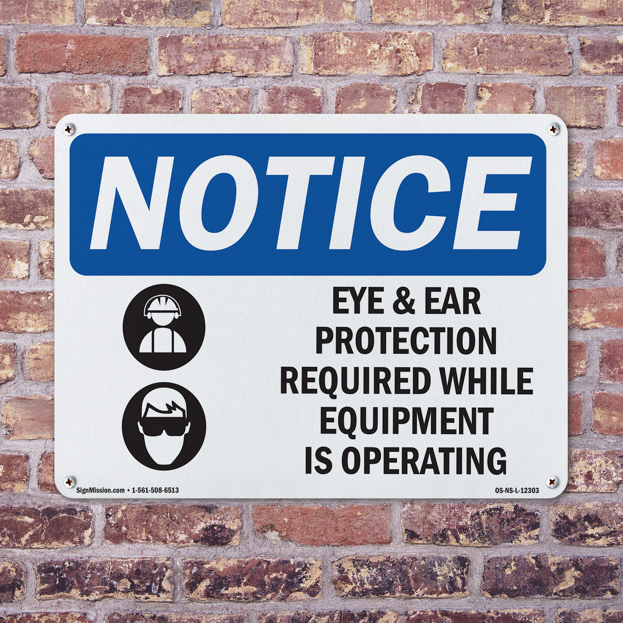 Eye And Ear Protection Required