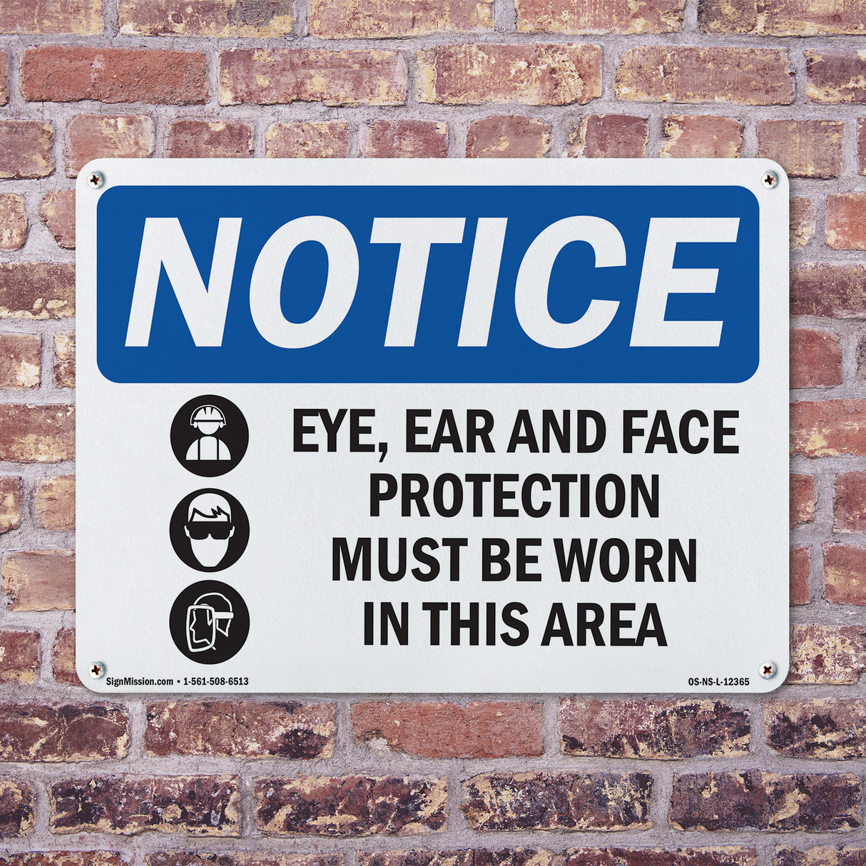 Eye, Ear And Face Protection