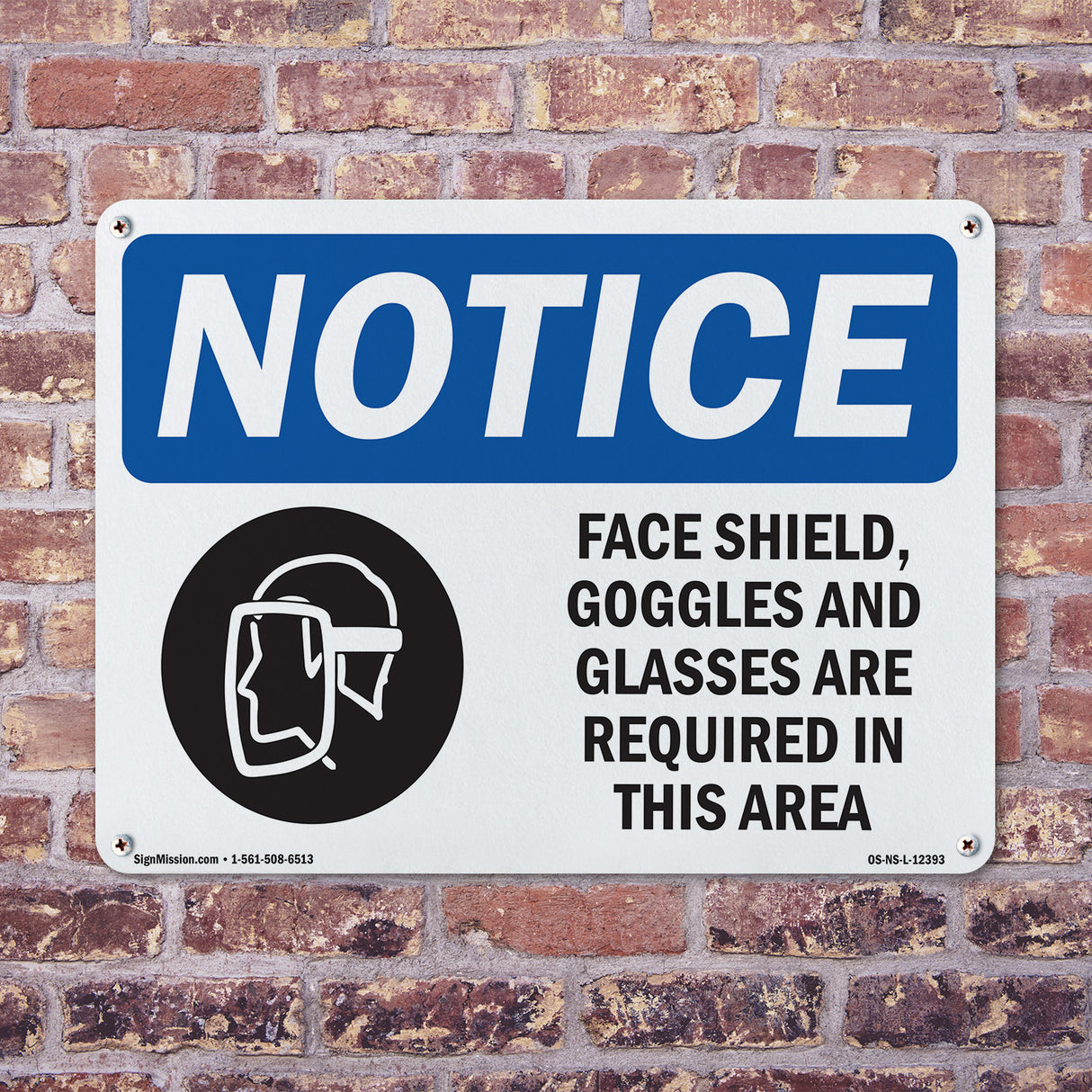 Face Shields, Goggles And Glasses